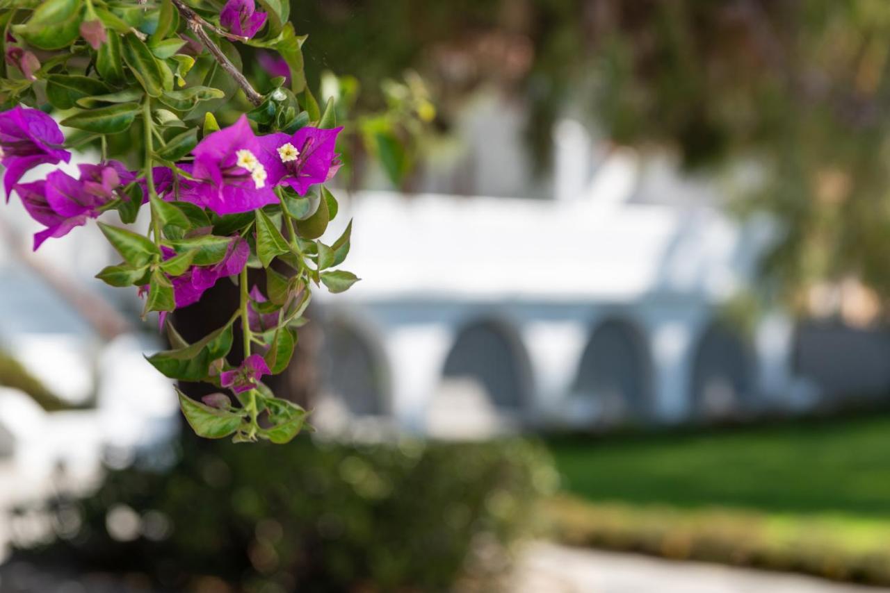 Casa Montzo Boutique Hotel Katelios Exterior photo